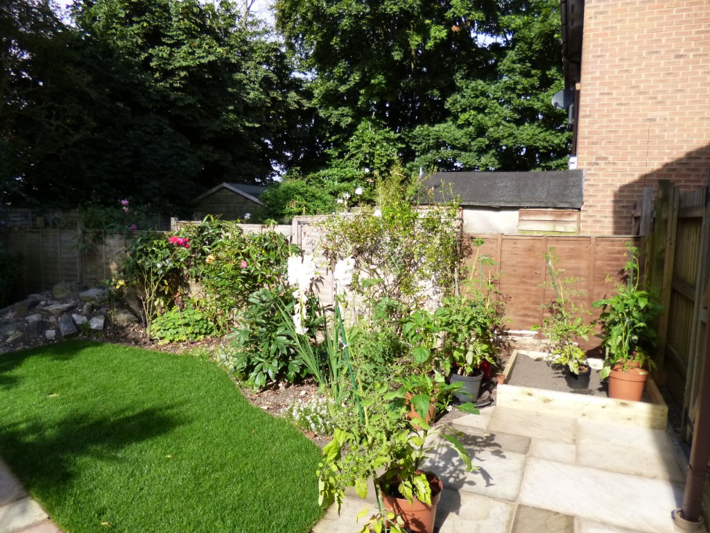 Replaced with slightly raised bed for vegetables