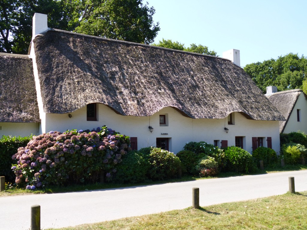 One of the thatched houses