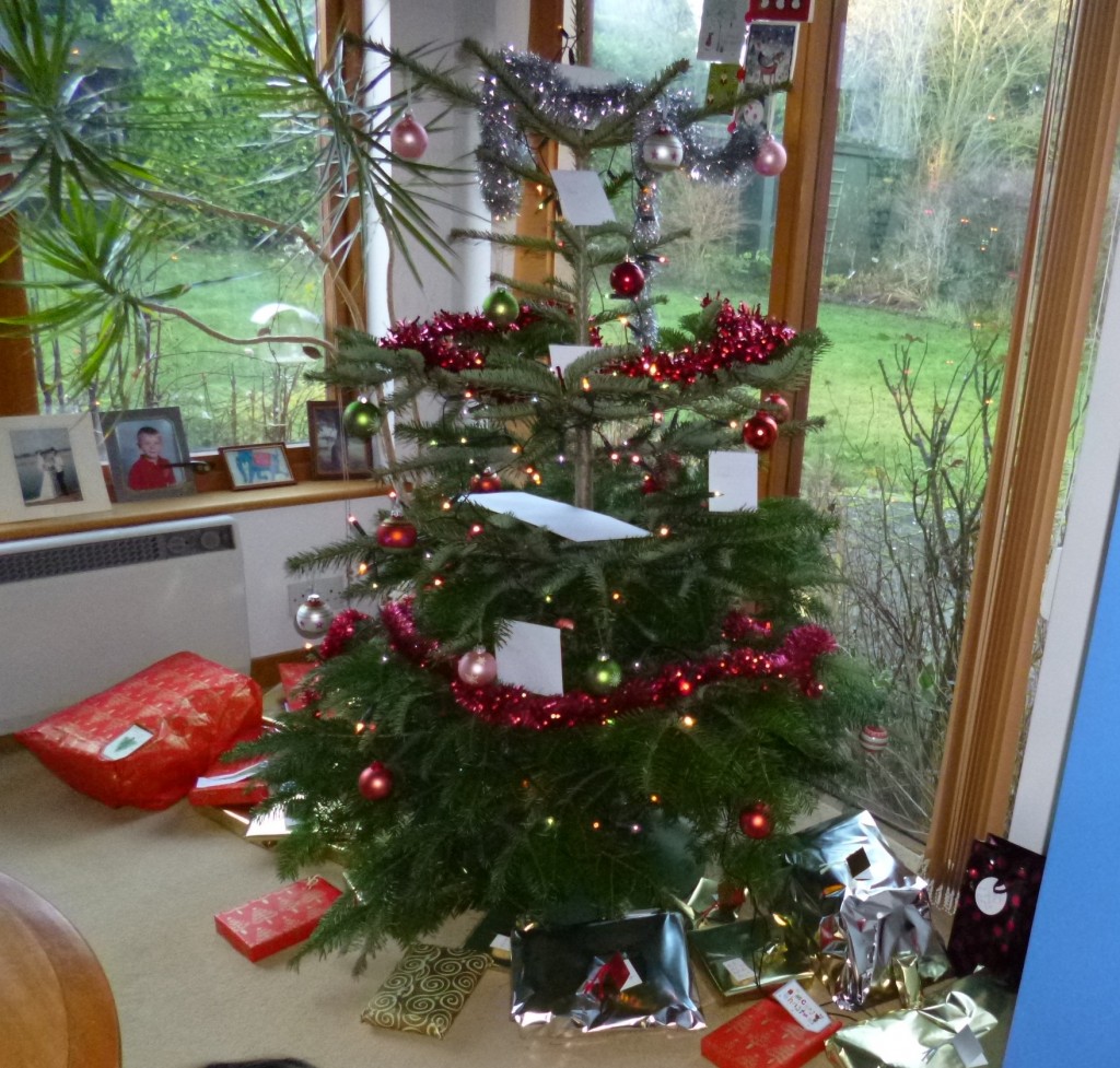 Presents put under the tree.