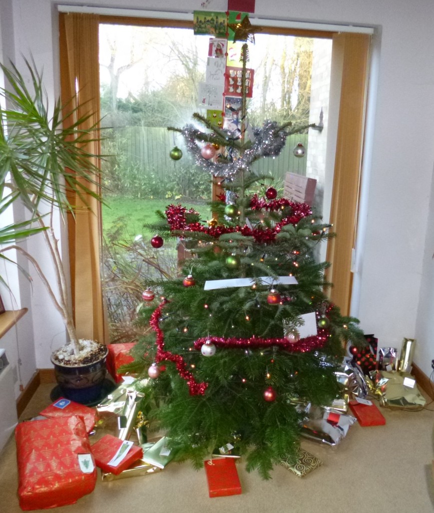 Presents ready to open.