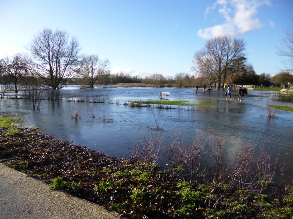 Looking across Elizabeth Gardens and the river to the water meadows - this is what the water meadows are for!