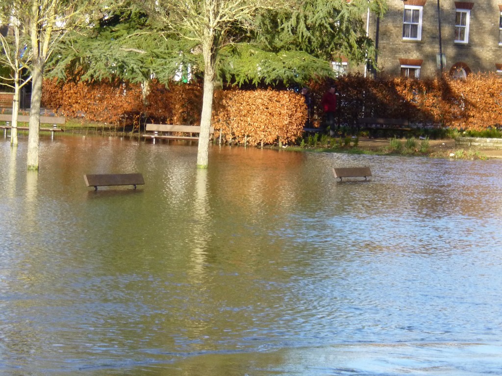 Benches under water in Elizabeth Gardens