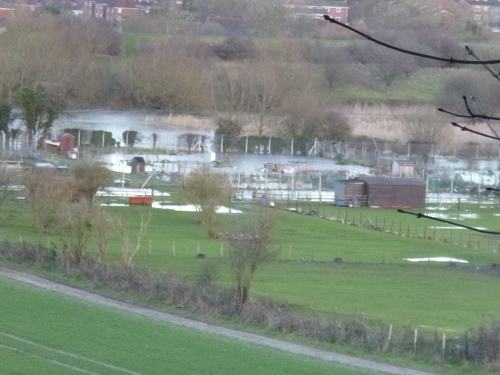 Glad it is not my allotment - nt that I have one.