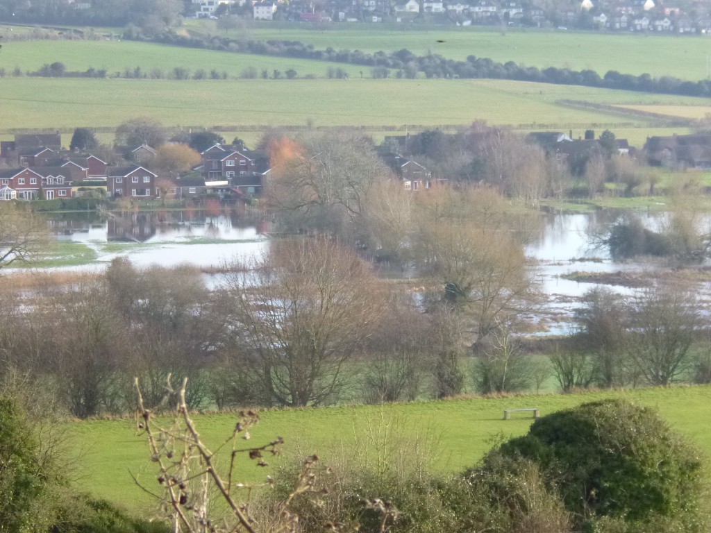 More fields flooded