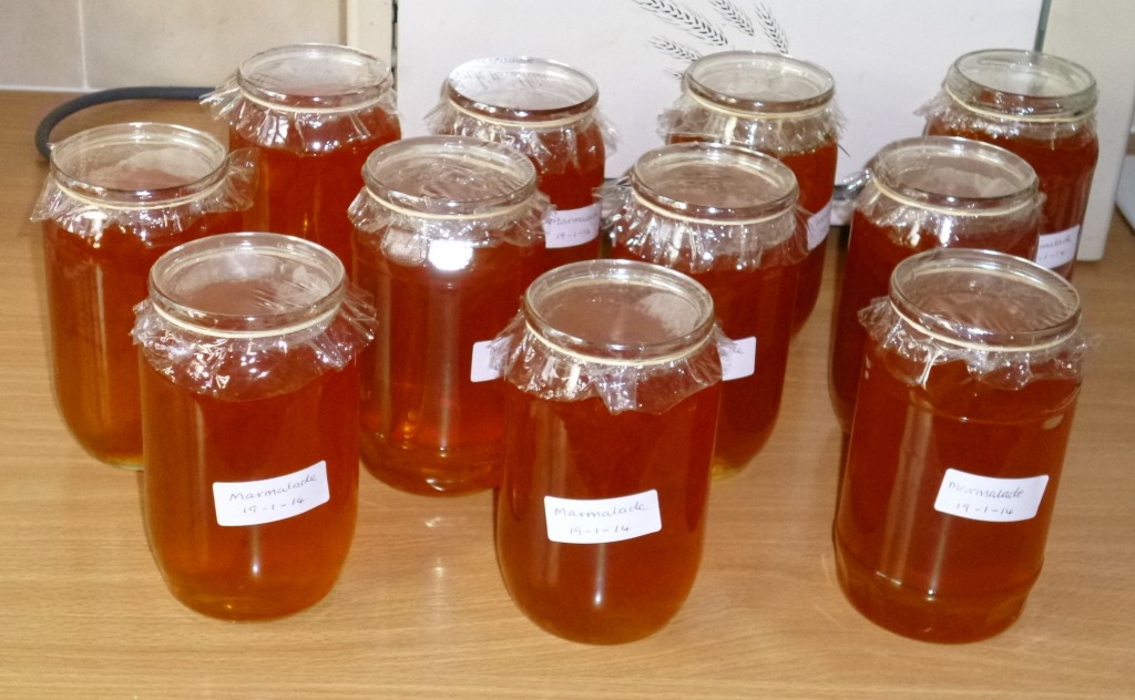 Marmalade potted up