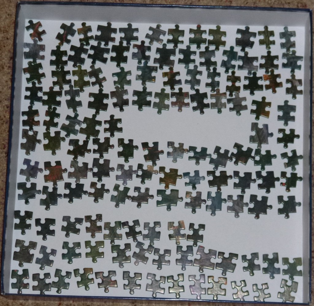 Pieces in the box arranged by shape