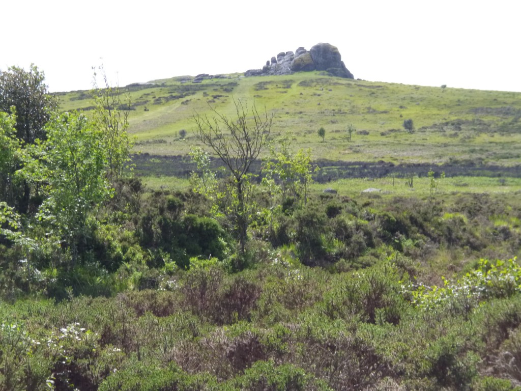 Haytor from near the hotel