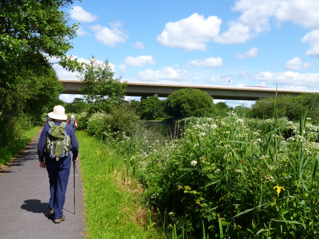 The tow-path was bounded by shrubs and reeds, especially on the canal side.........