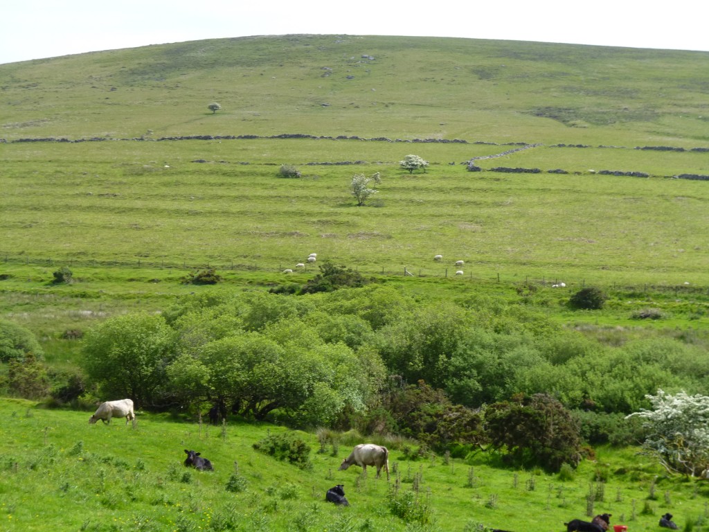 ......hillsides where we could see the remains of the terracing from mediaeval times..... 