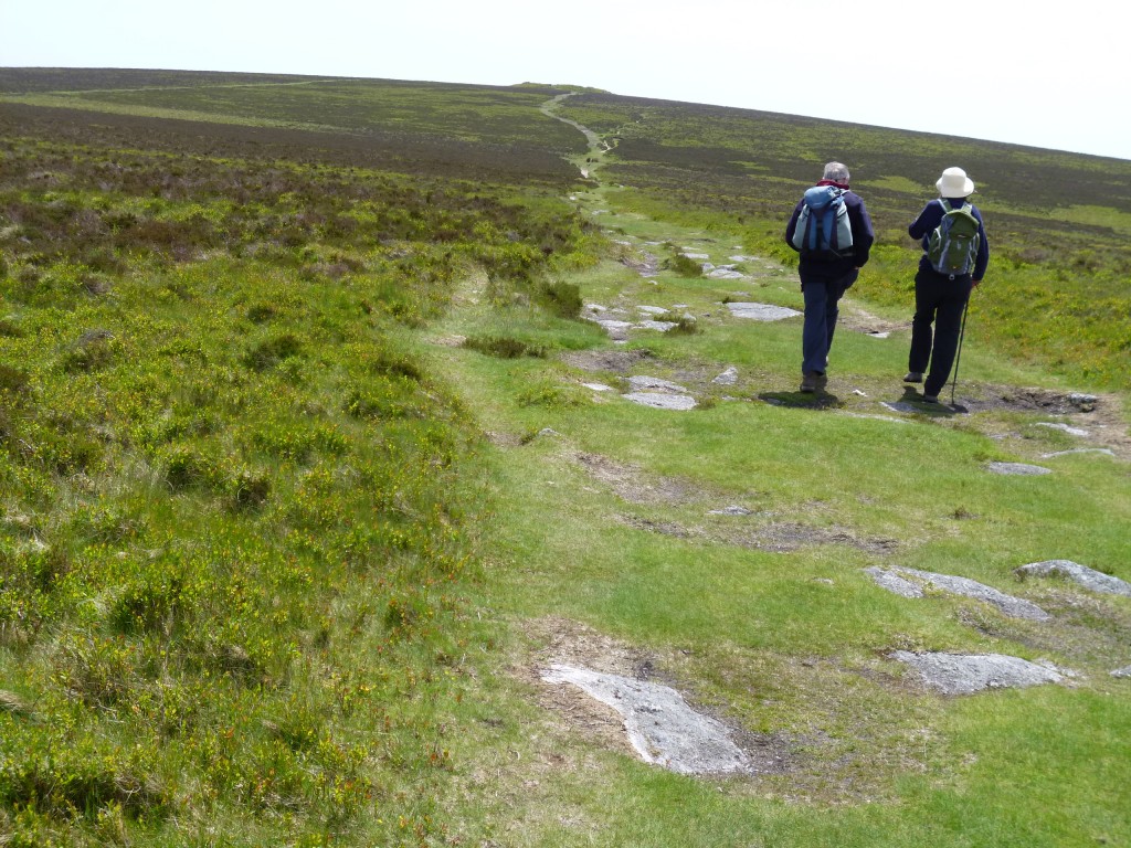 It was then a windy walk along the top of the down, with the larks singing overhead.......