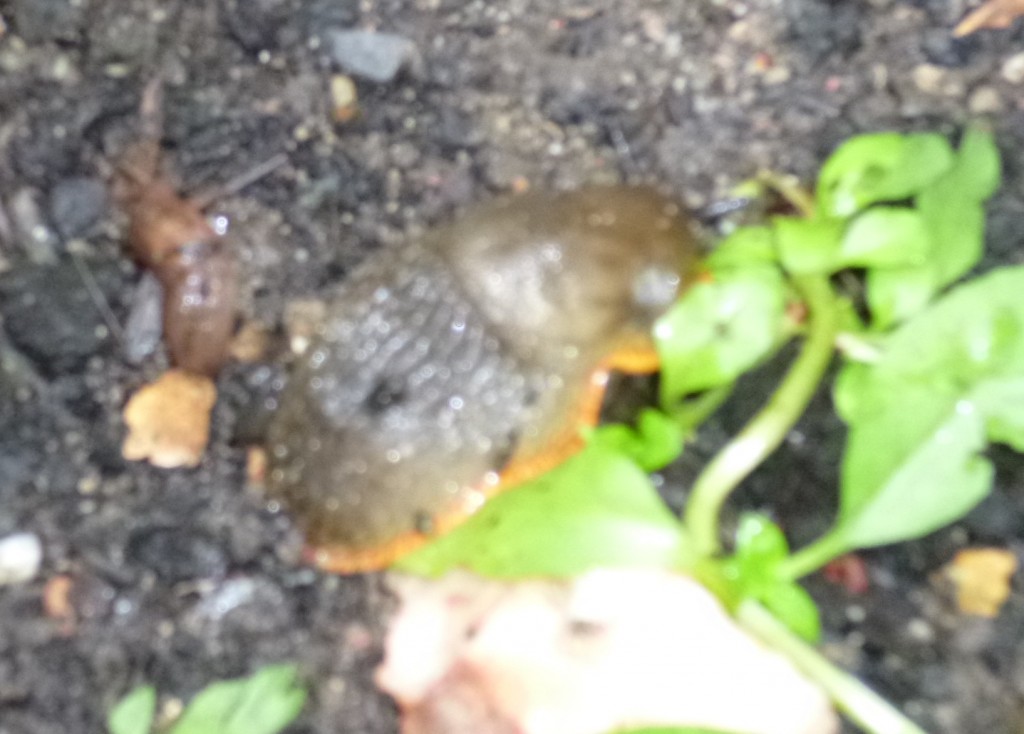 .......harder to detect......