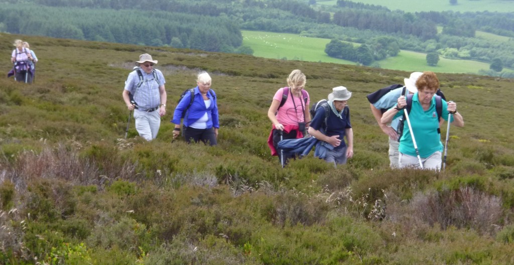 .....care and concentration.