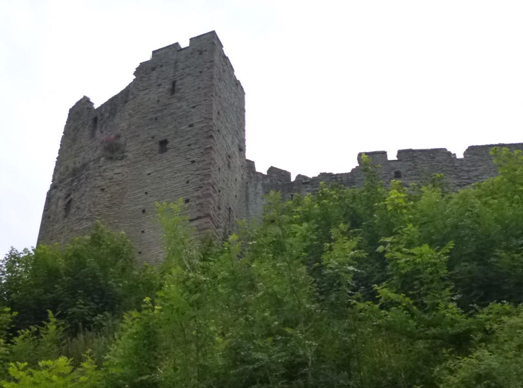 Looking at the castle from the back - the river side.