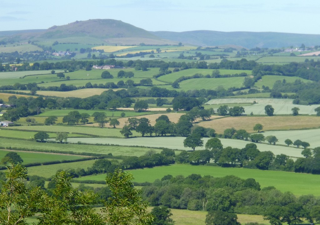 ......but gaps in the trees gave views over the countryside.