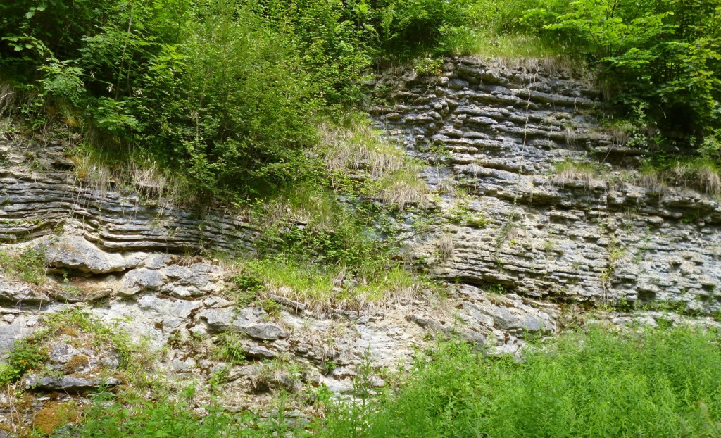 ..... various types of rock (I think!).....