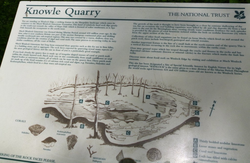 .....the old quarry.....