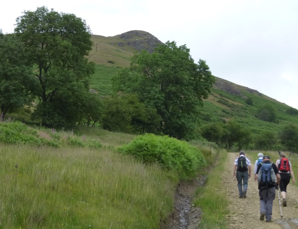 .....up the slopes of the hill....