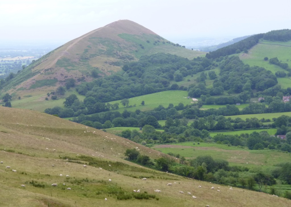 .....until we started to go down again.