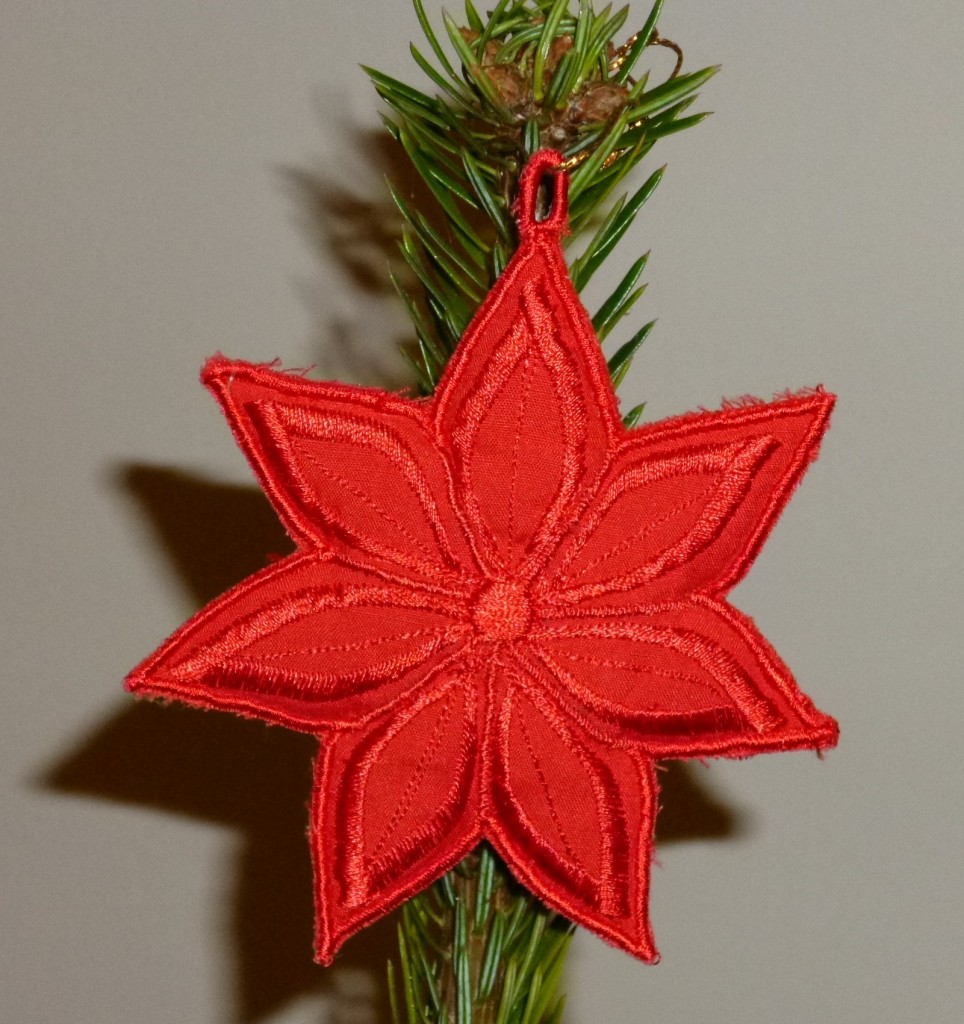 Probably a poinsettia not a star!