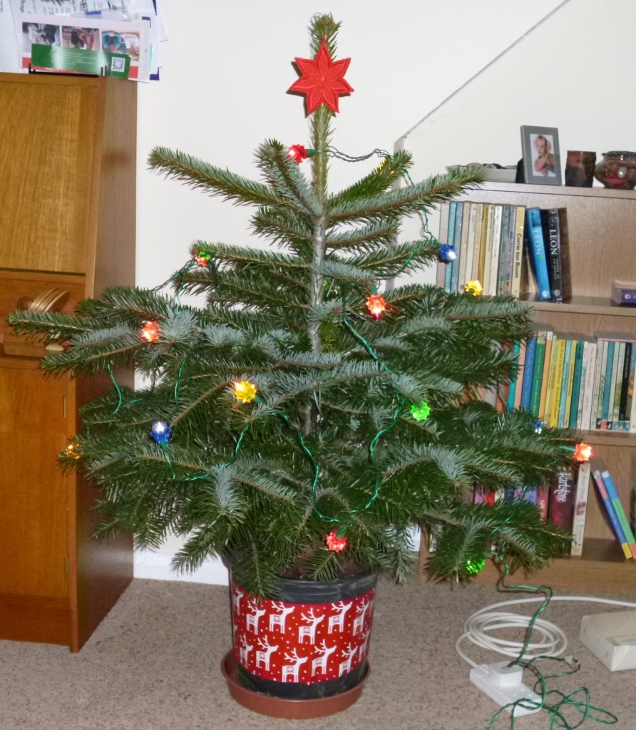 ......go on the tree....