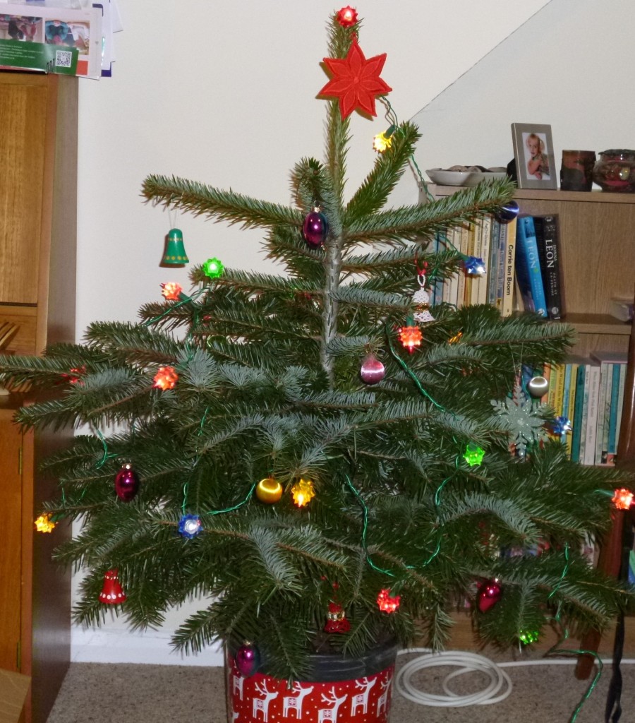 .....put on the tree.