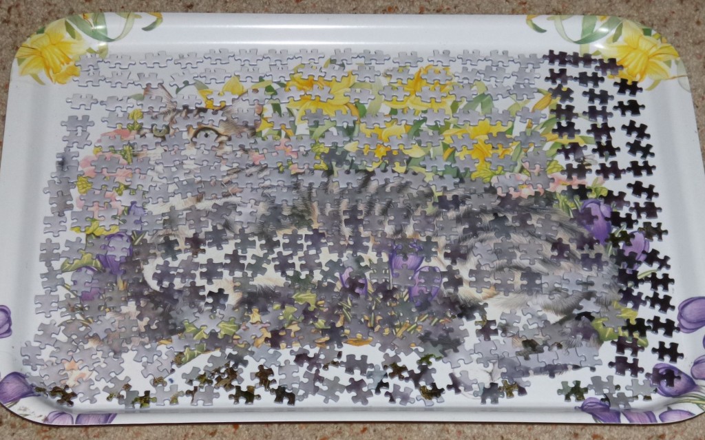 Lots of pieces to look at