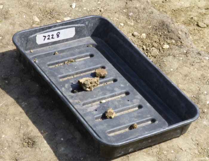 Small finds in tray marked with the context number.